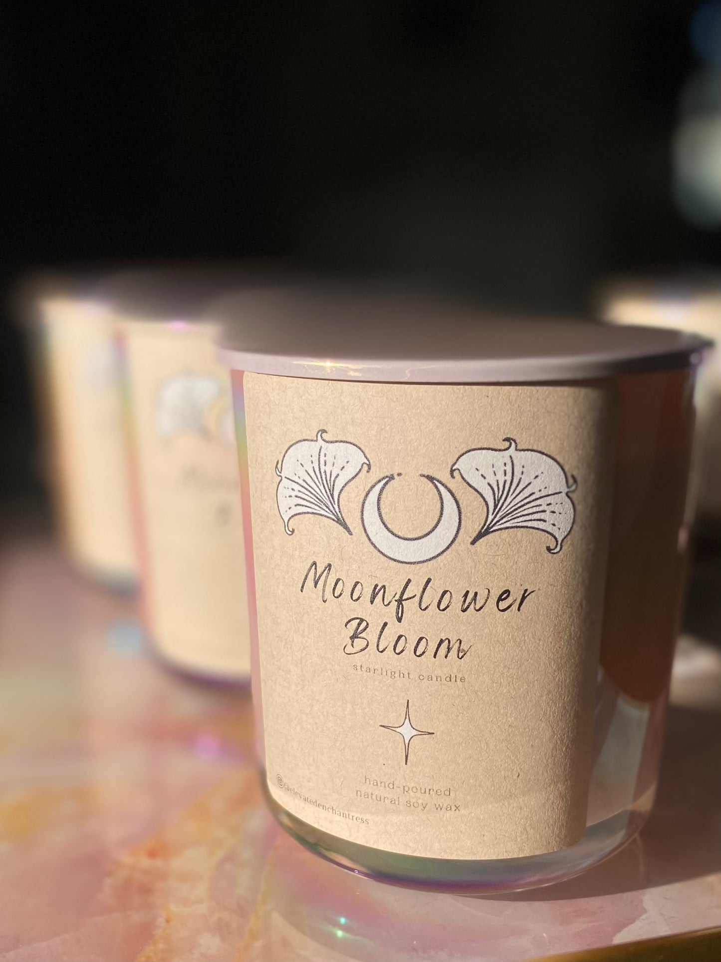 Moonflower Bloom