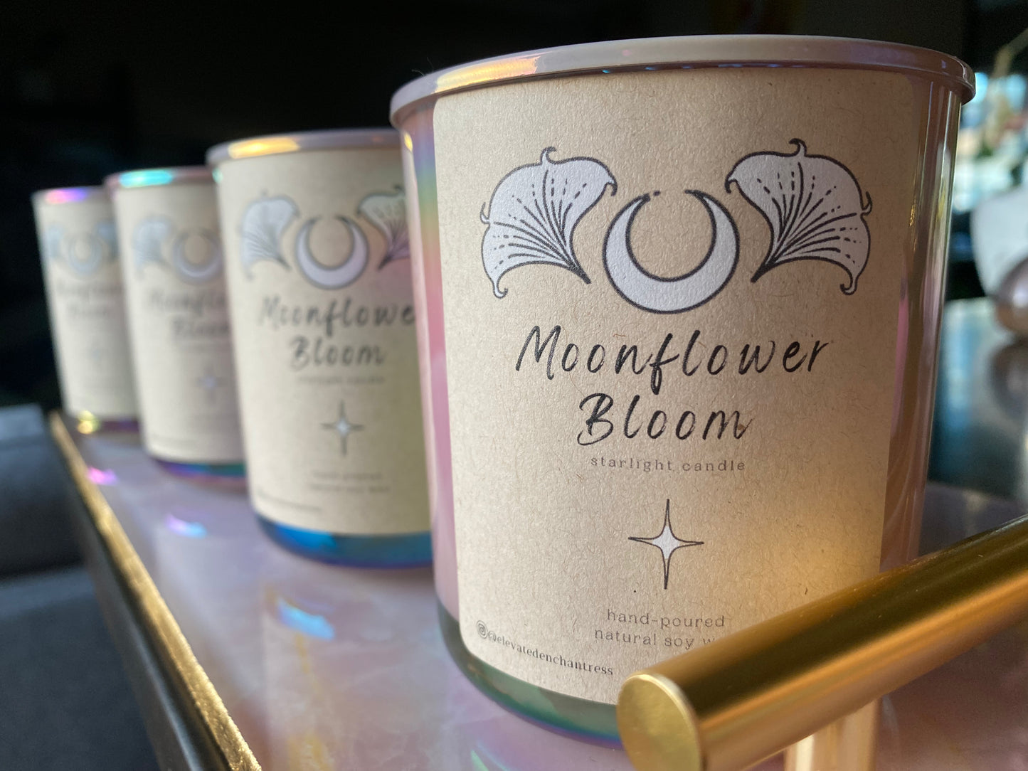 Moonflower Bloom